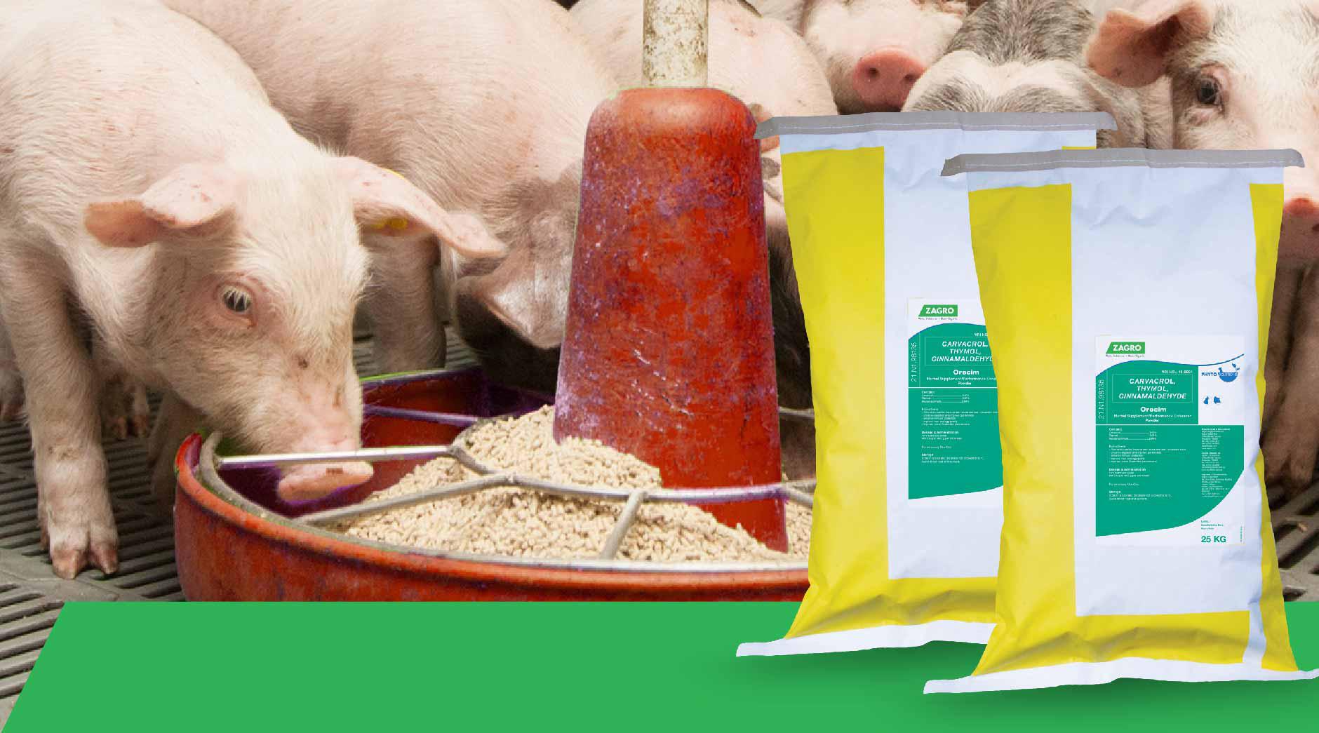 Cures For Gut Diseases and diarrhea Among Piglets product